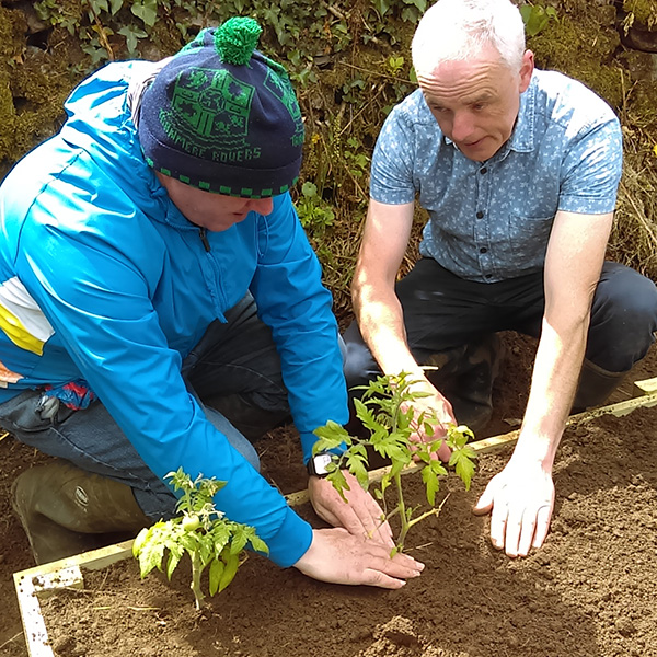 what-is-social-farming-social-farming-ireland